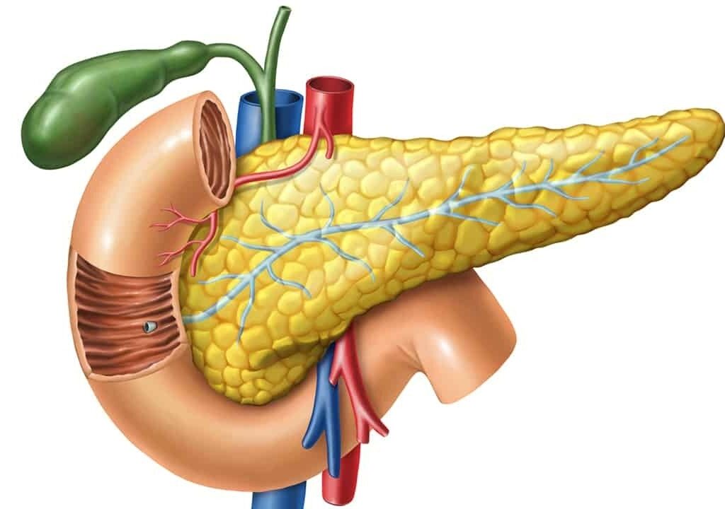 Pancreatitis-2-1024x720-2.jpg