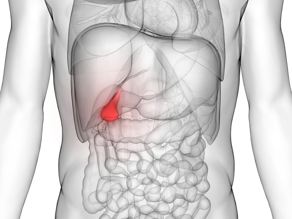 common_gallstones-1024x768-3.jpg